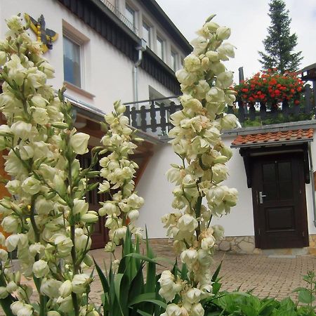 Ferienhaus Haus Am Wald Stolberg i. Harz Exterior foto