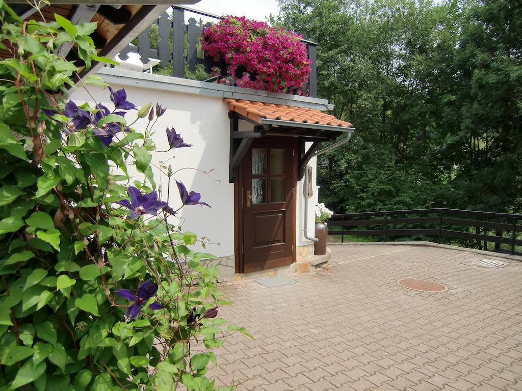 Ferienhaus Haus Am Wald Stolberg i. Harz Habitación foto