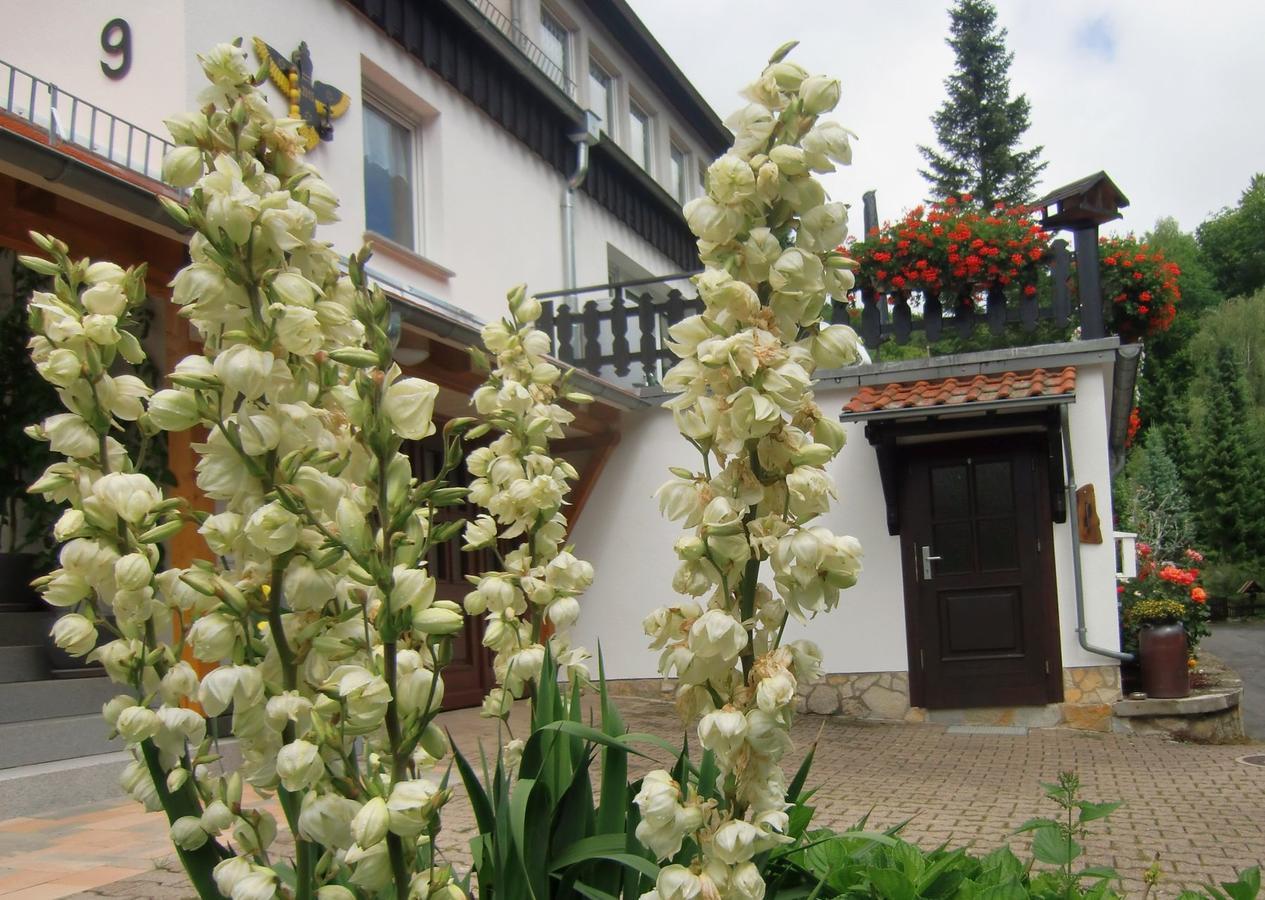 Ferienhaus Haus Am Wald Stolberg i. Harz Exterior foto